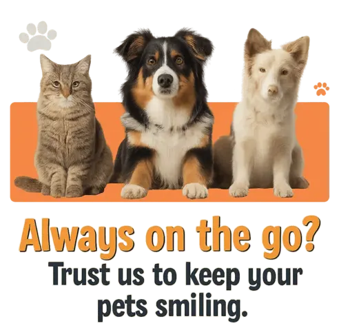 Raleigh Trusted Pet Sitter