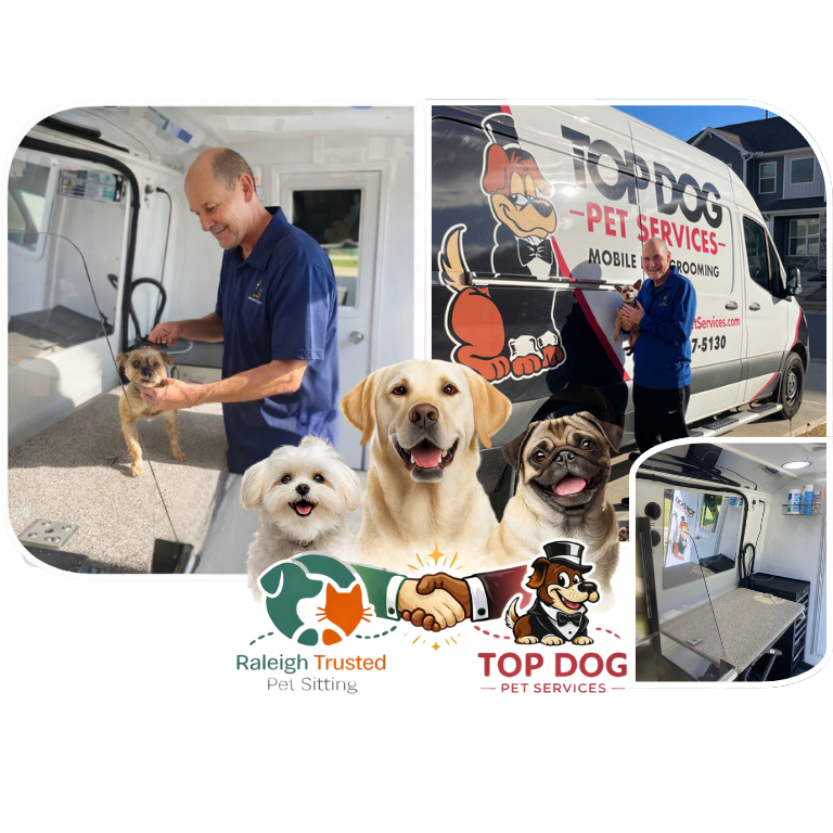 Professional Pet Sitters in Raleigh