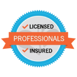 professional licence