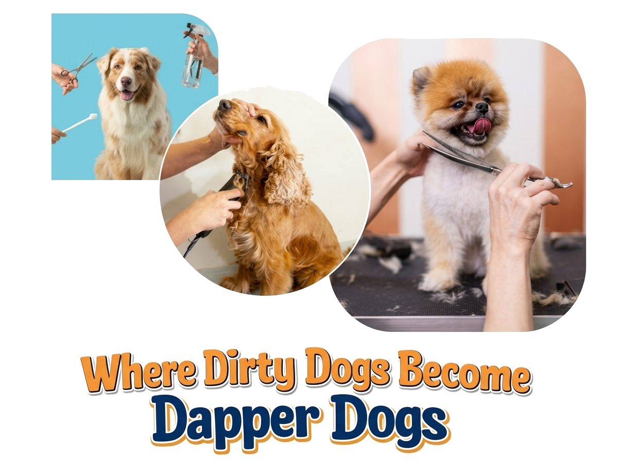 MObile Dog Grooming near me