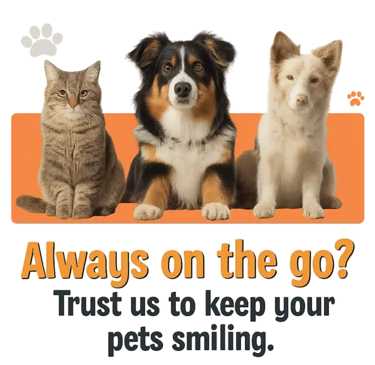 Raleigh Trusted Pet Sitter