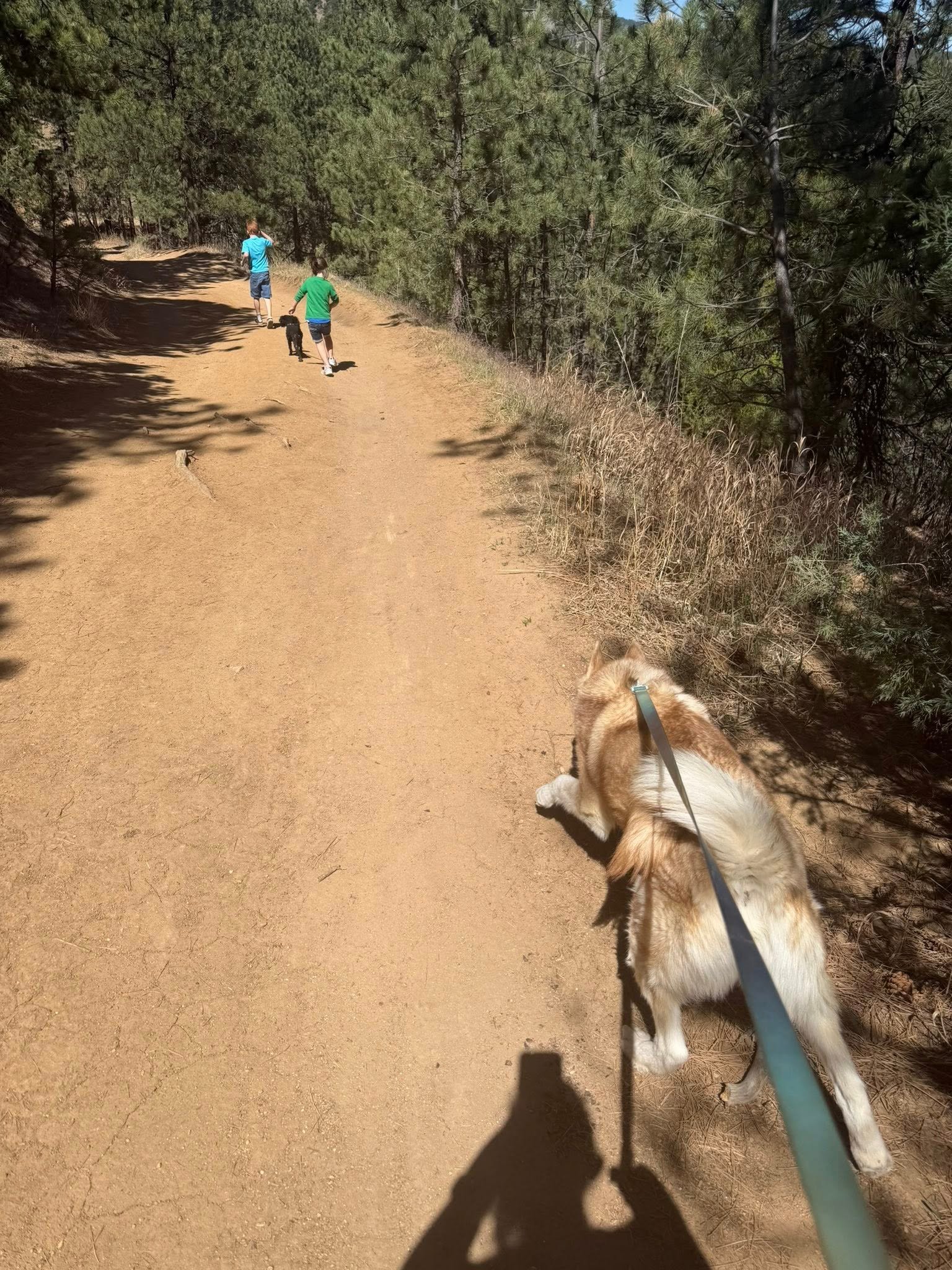 Water Hikes Near Raleigh NC