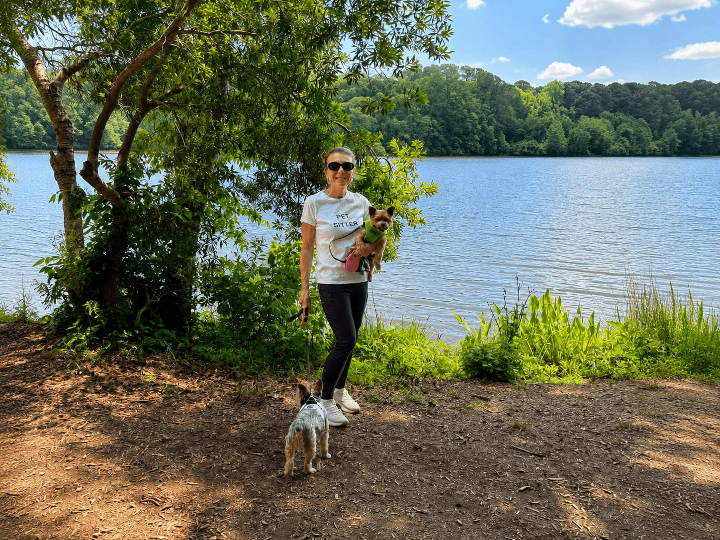 Holly Springs dog walking services