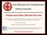 CRP Certified Tony.jpg