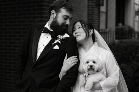 Wilmington pet sitter near me reviews