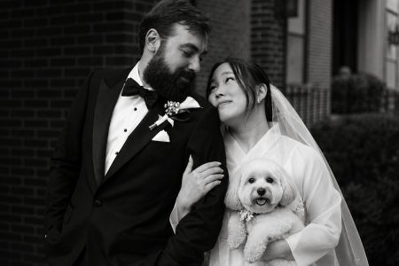 Wilmington pet sitter near me reviews