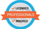 professional licence