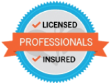professional licence